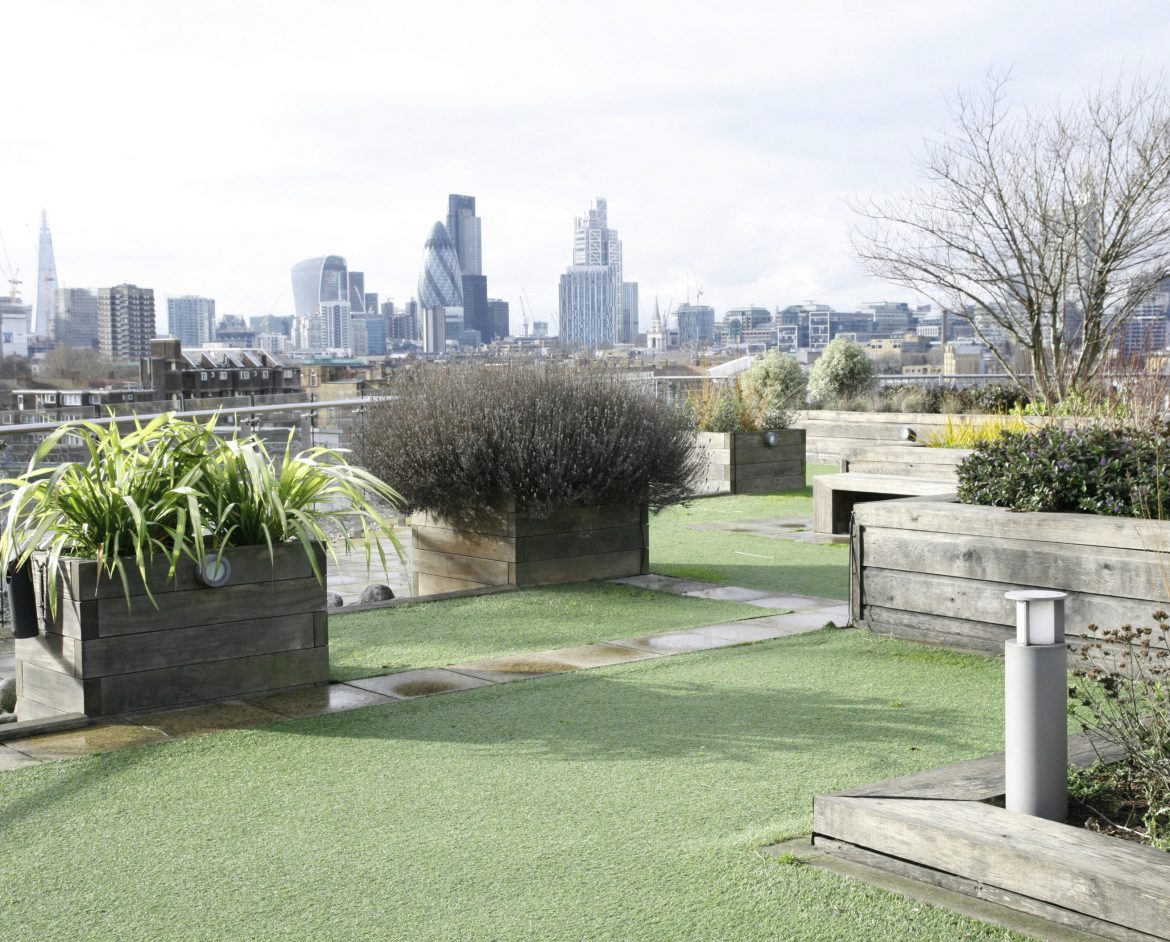 Roof Terrace 