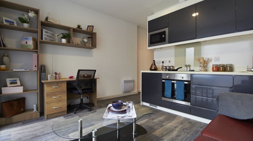 Studio/Apartment Kitchen