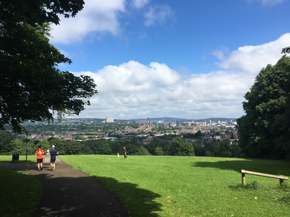Picture from the top of a hill in a Sheffield park.